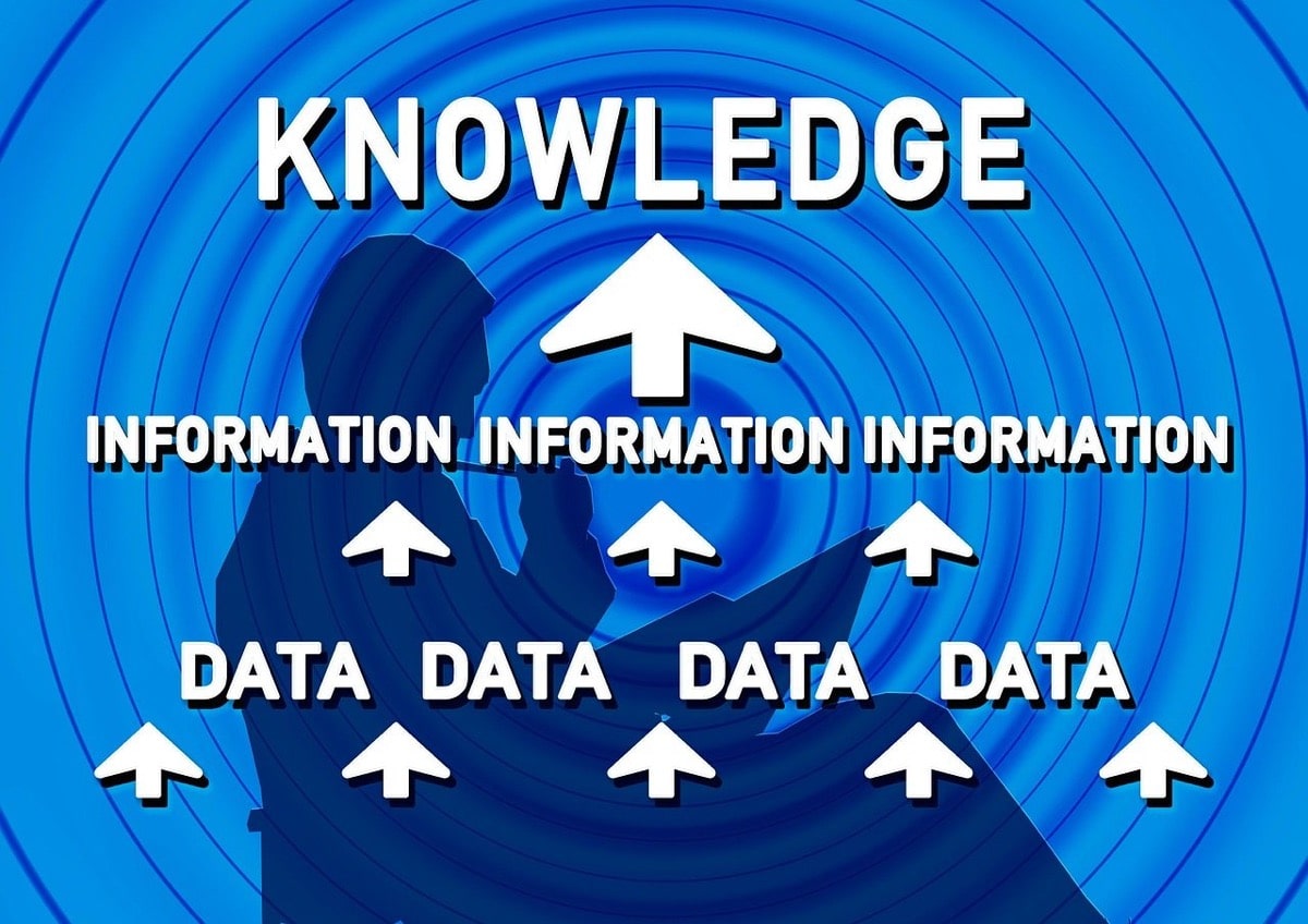 Tillerman Insights POS data